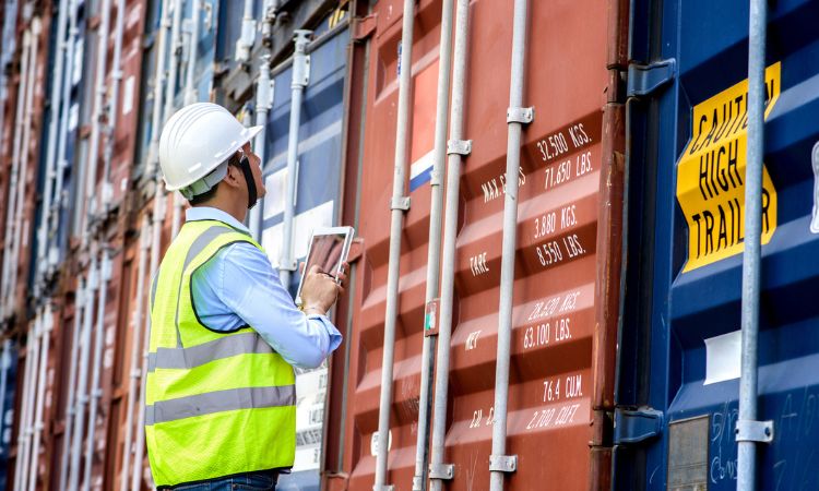 clasificación arancelaria márgenes empresas importadoras