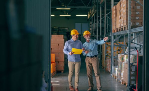 perfil profesional logístico habilidades clave formación necesaria