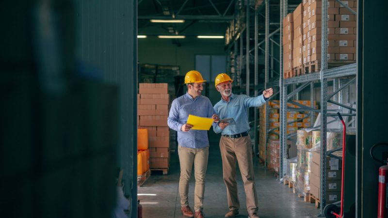 perfil profesional logístico habilidades clave formación necesaria