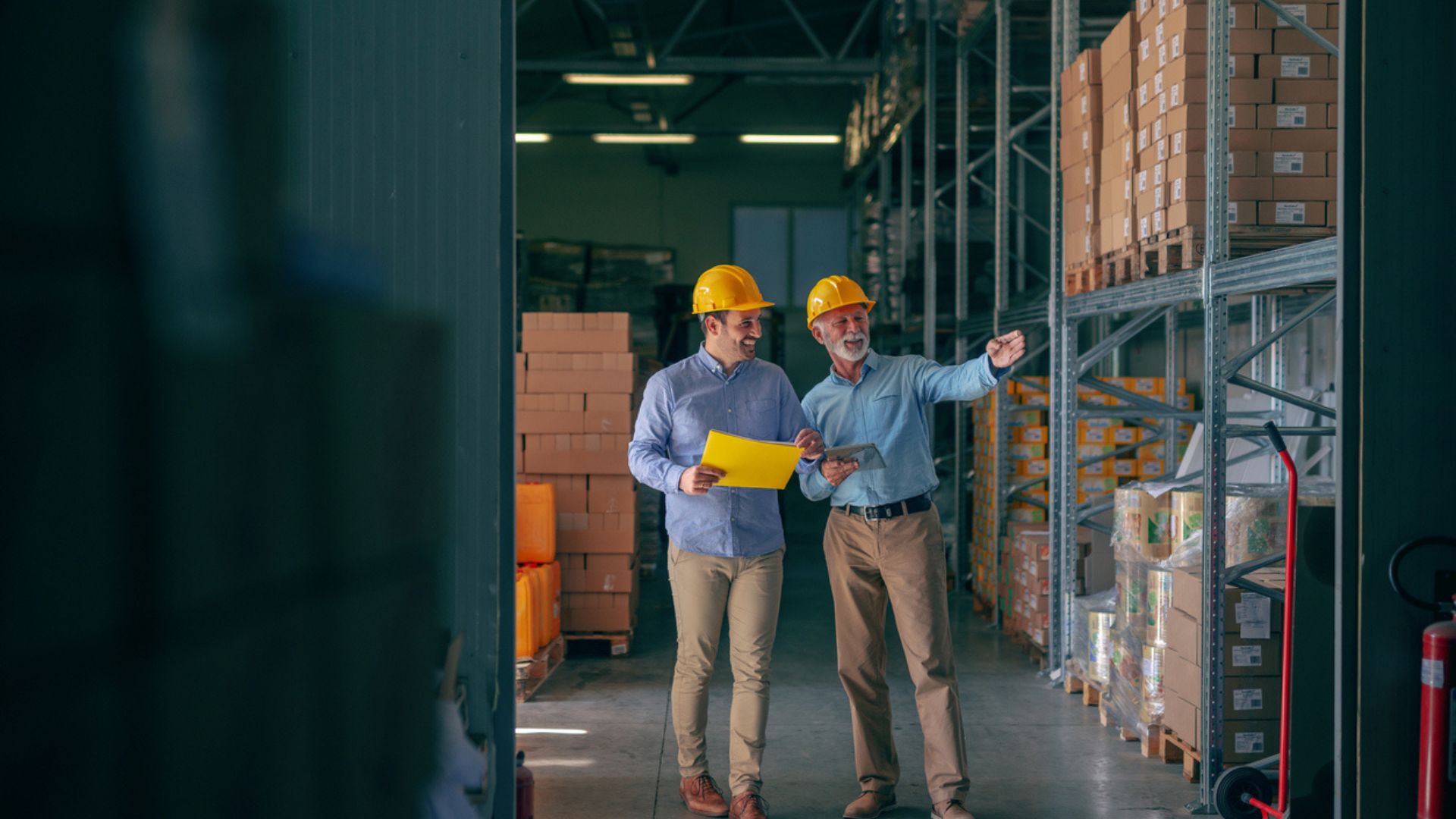 perfil profesional logístico habilidades clave formación necesaria