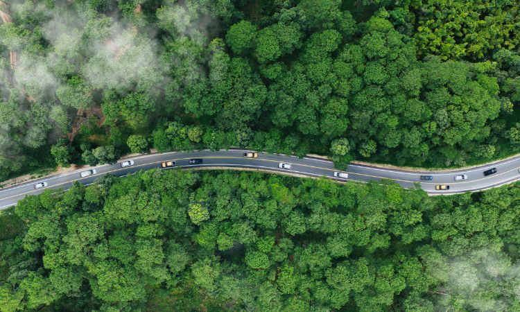 empresa logistica sostenibilidad organizacion