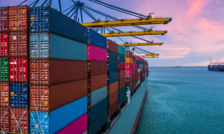 empresa logistica transitario exito exportar